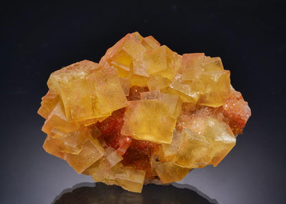 CC63135 specimen image