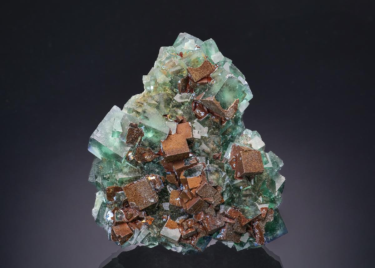 CC63138 specimen image