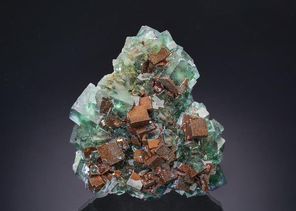 CC63138 specimen image