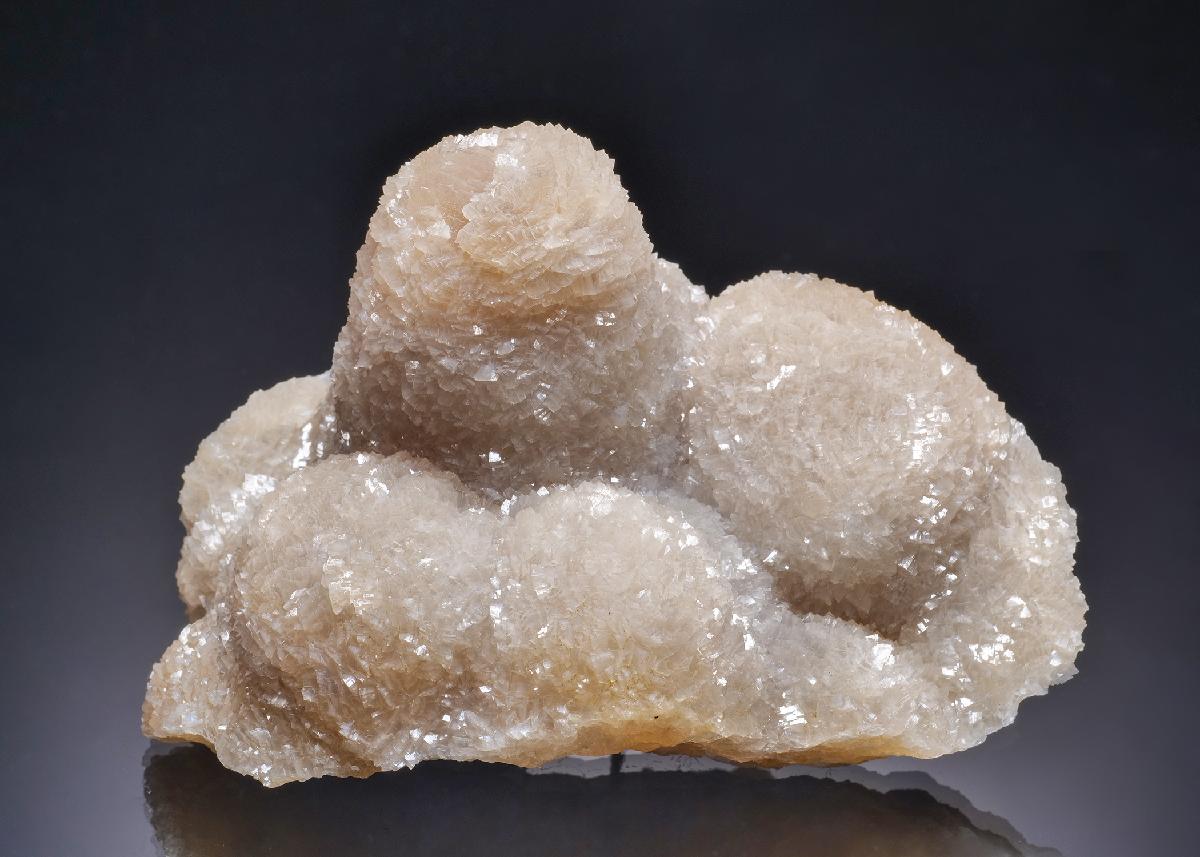 CC63144 specimen image
