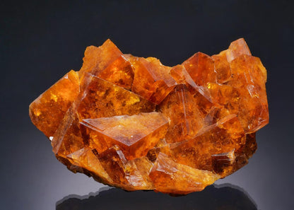 CC63147 specimen image