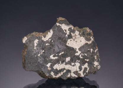 CC63171 specimen image