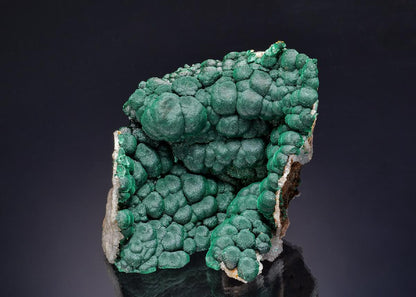 CC63186 specimen image