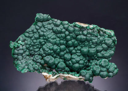CC63195 specimen image