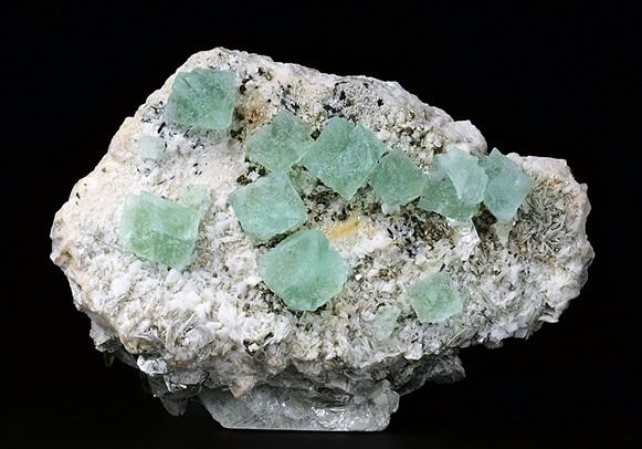 CC6322 specimen image