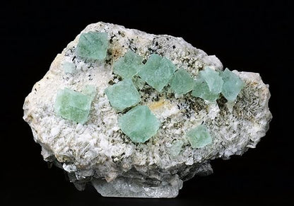 CC6322 specimen image