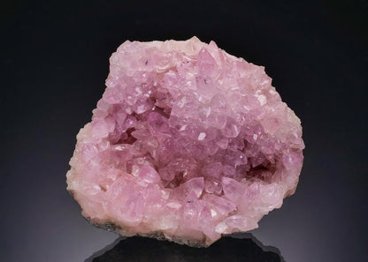 CC63222 specimen image