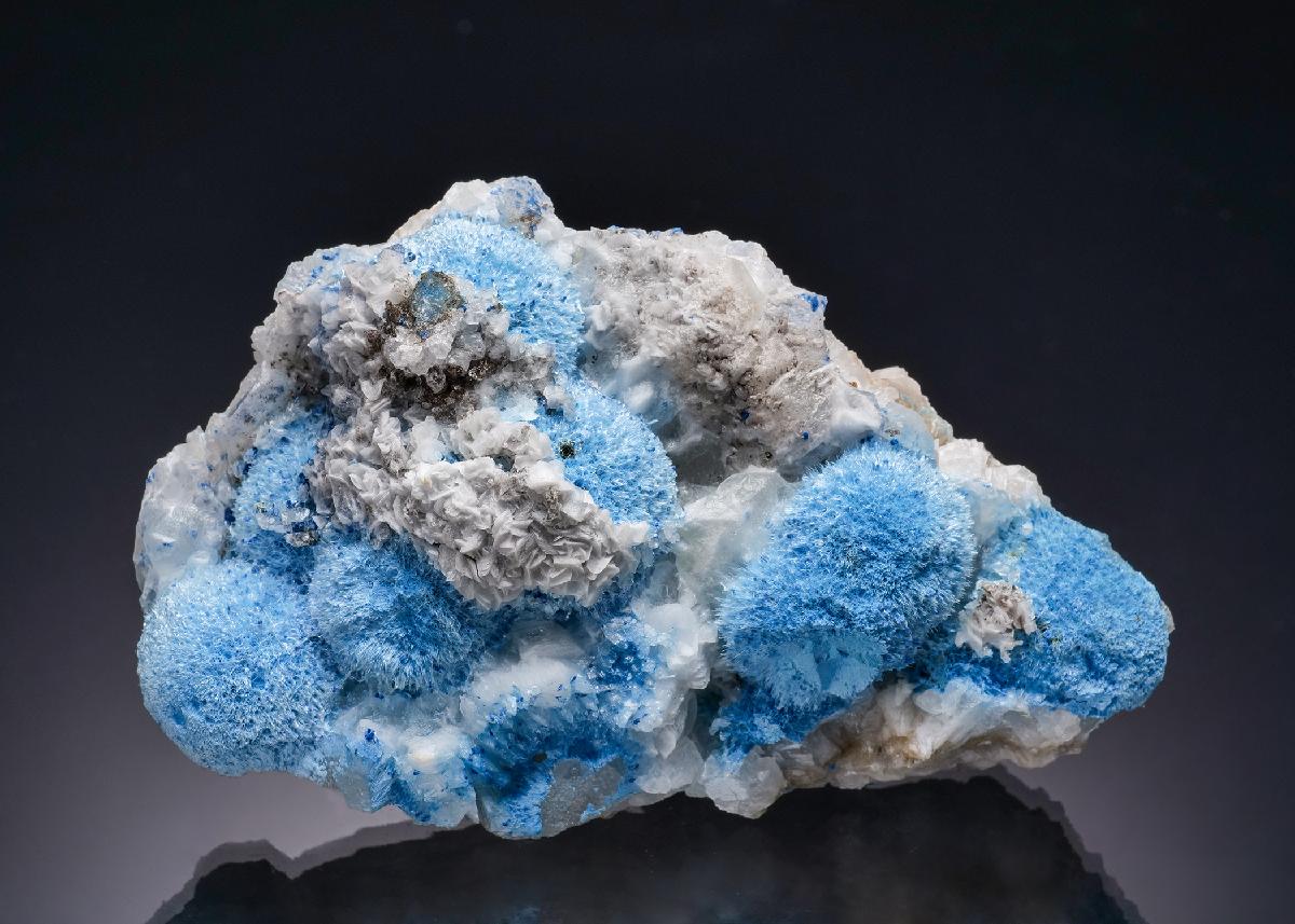 CC63228 specimen image