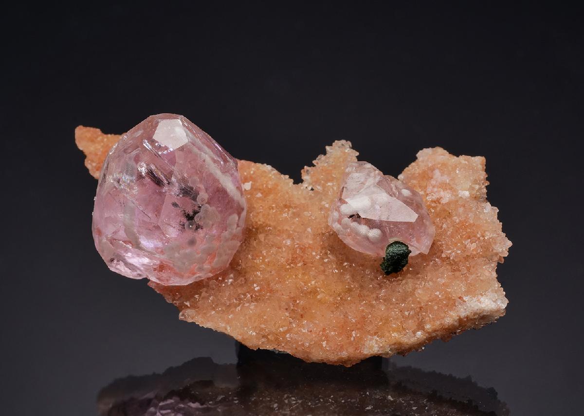 CC63252 specimen image