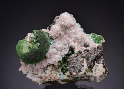 CC63267 specimen image