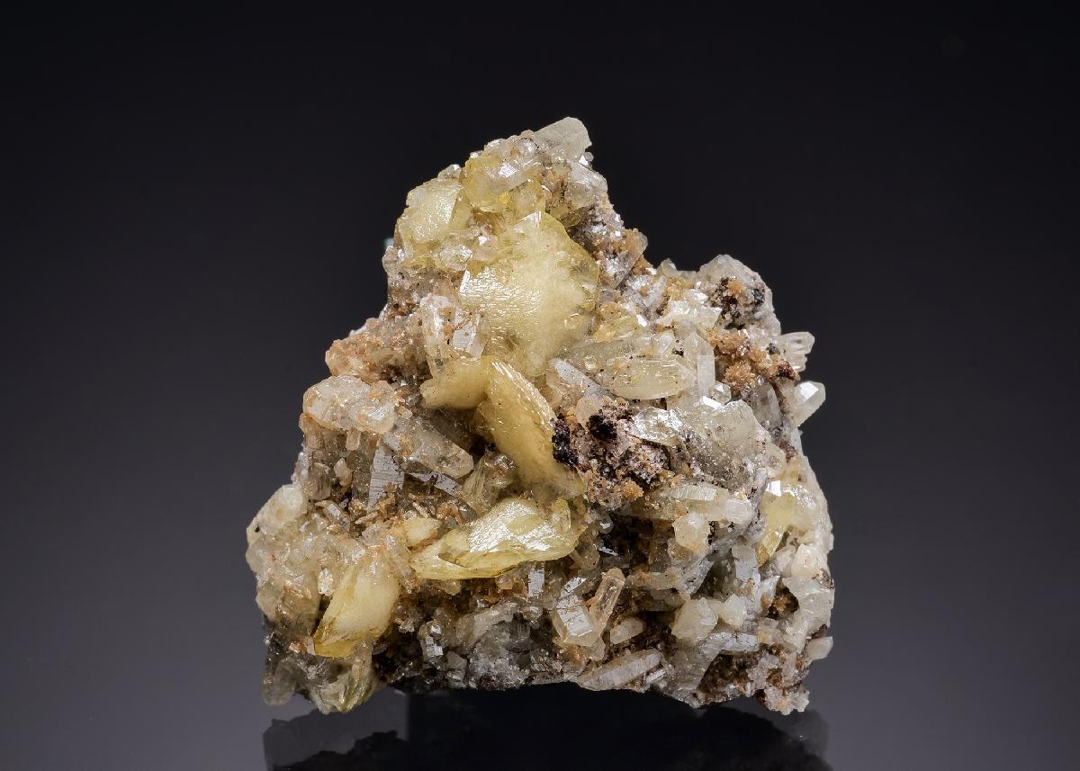 CC63282 specimen image