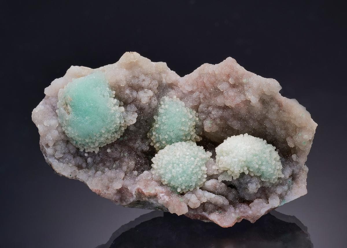 CC63309 specimen image