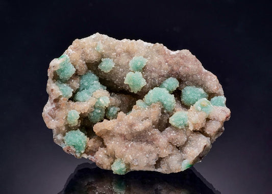 CC63315 specimen image