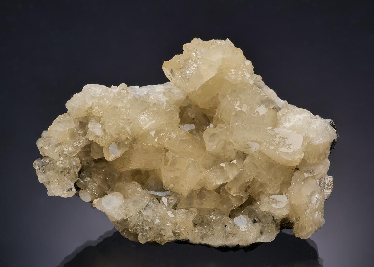 CC63339 specimen image