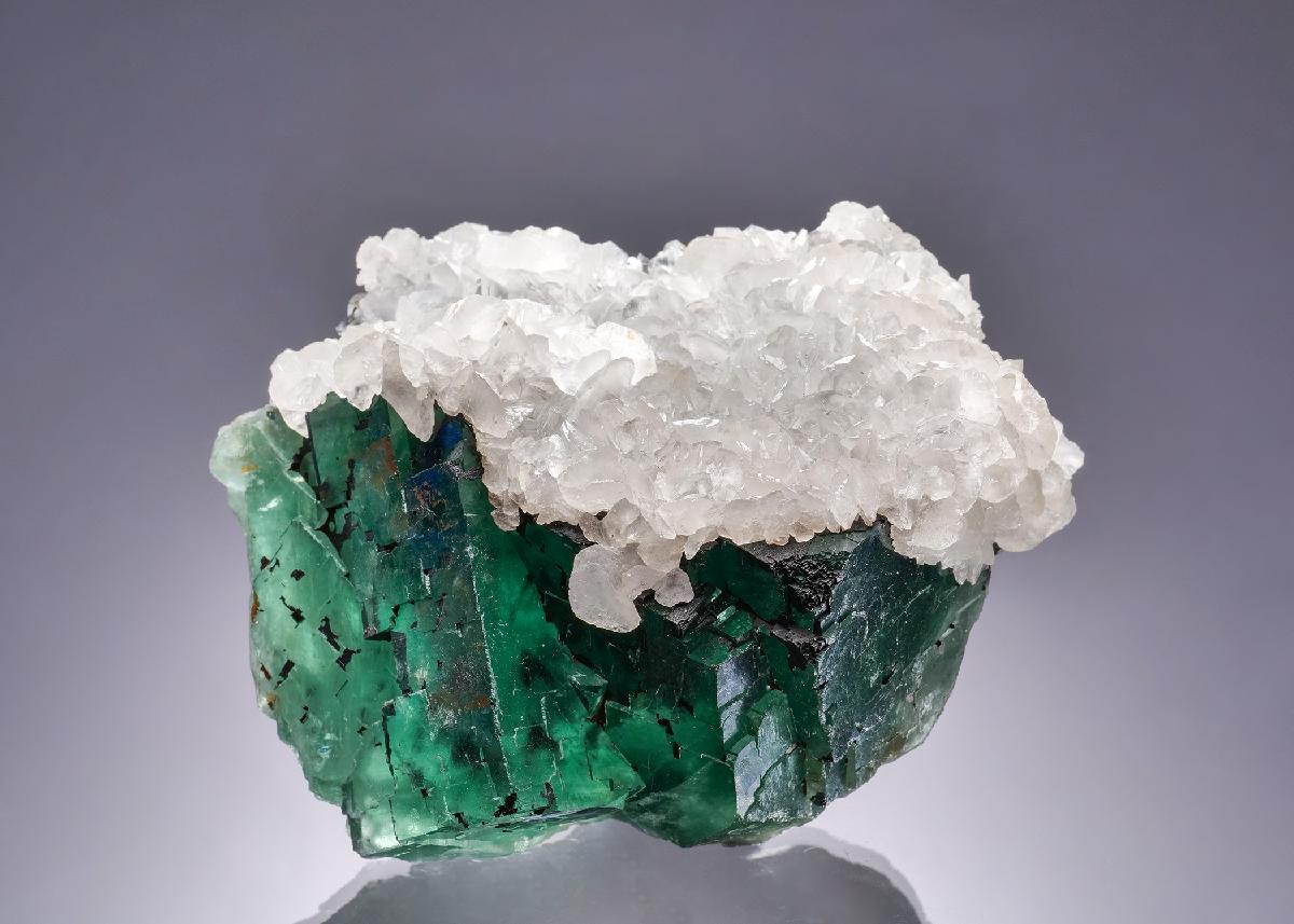 CC63345 specimen image