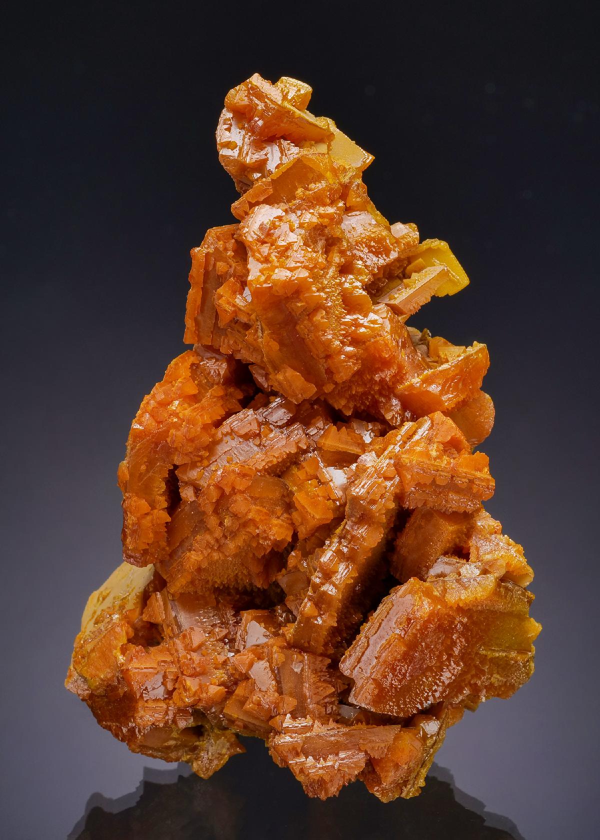 CC63351 specimen image