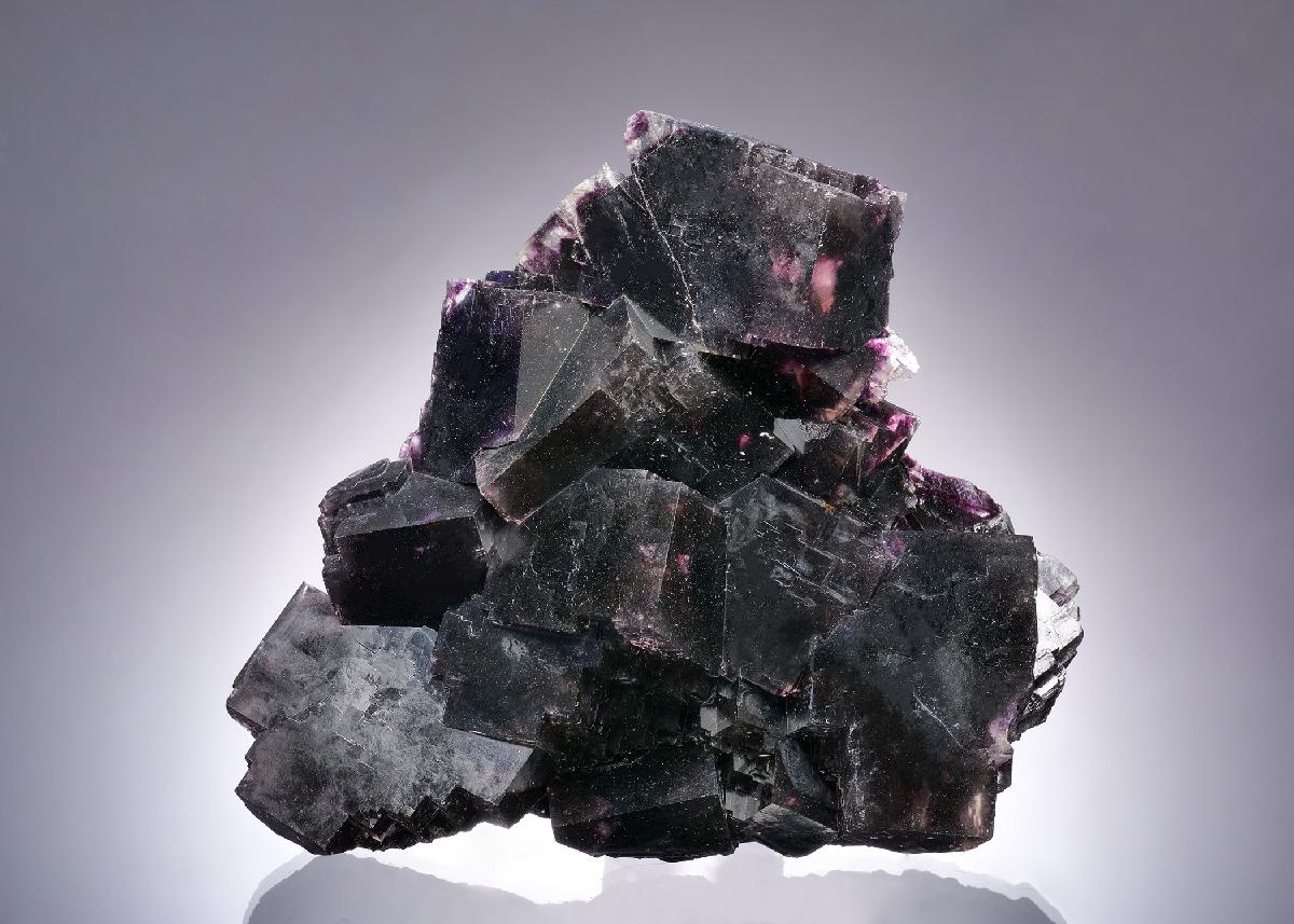 CC63393 specimen image