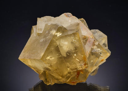 CC63399 specimen image