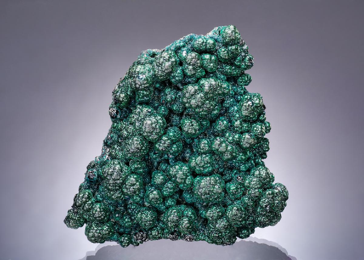 CC63402 specimen image