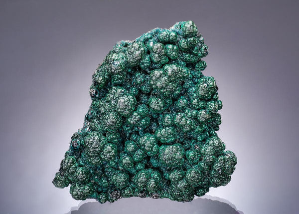 CC63402 specimen image