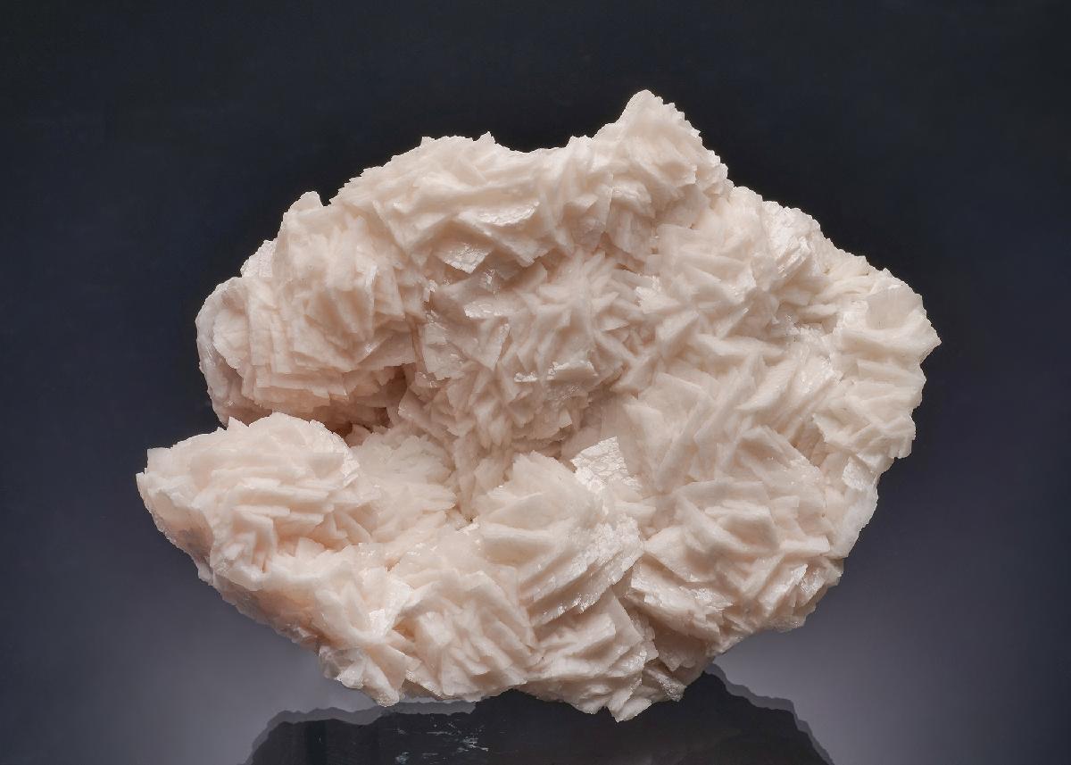 CC63420 specimen image