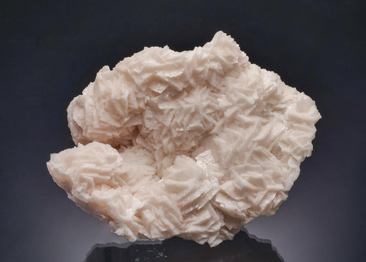 CC63420 specimen image