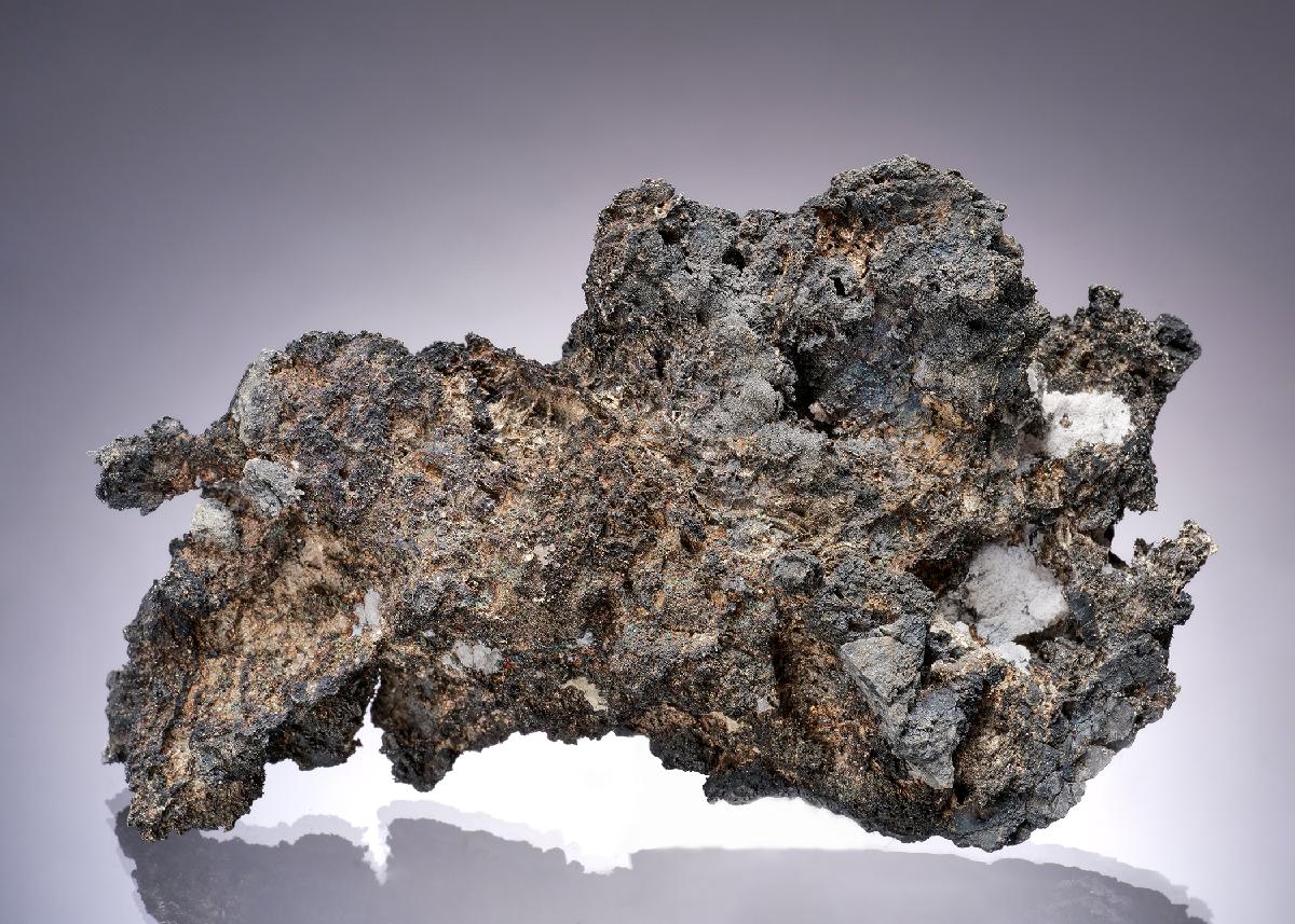 CC63423 specimen image