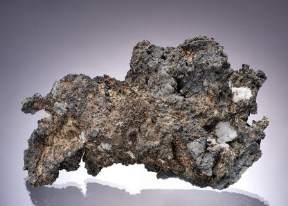 CC63423 specimen image