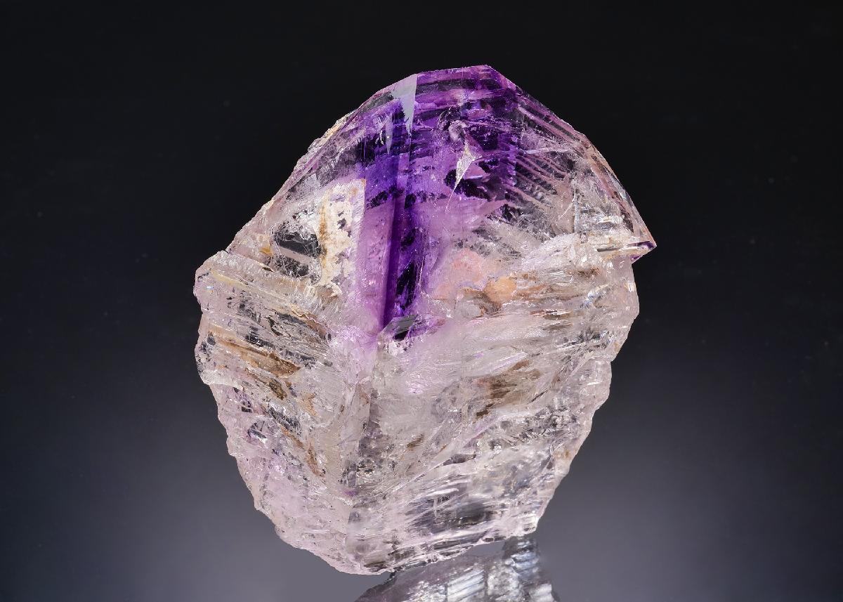 CC63426 specimen image
