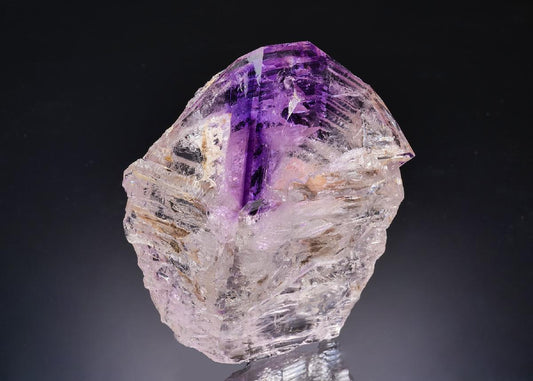 CC63426 specimen image