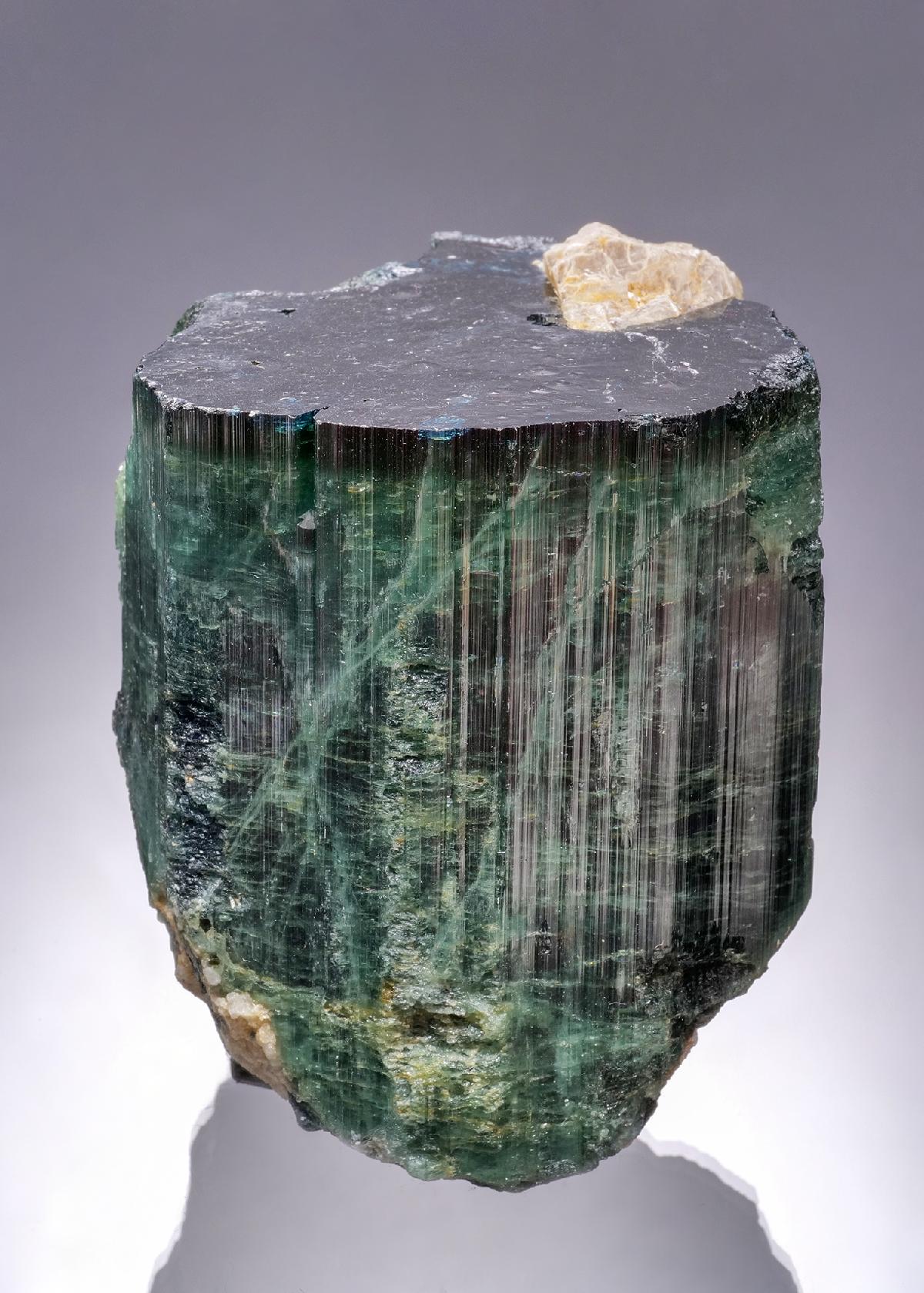 CC63429 specimen image