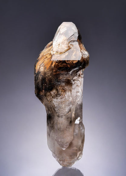 CC63447 specimen image