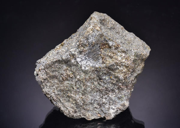 CC63462 specimen image
