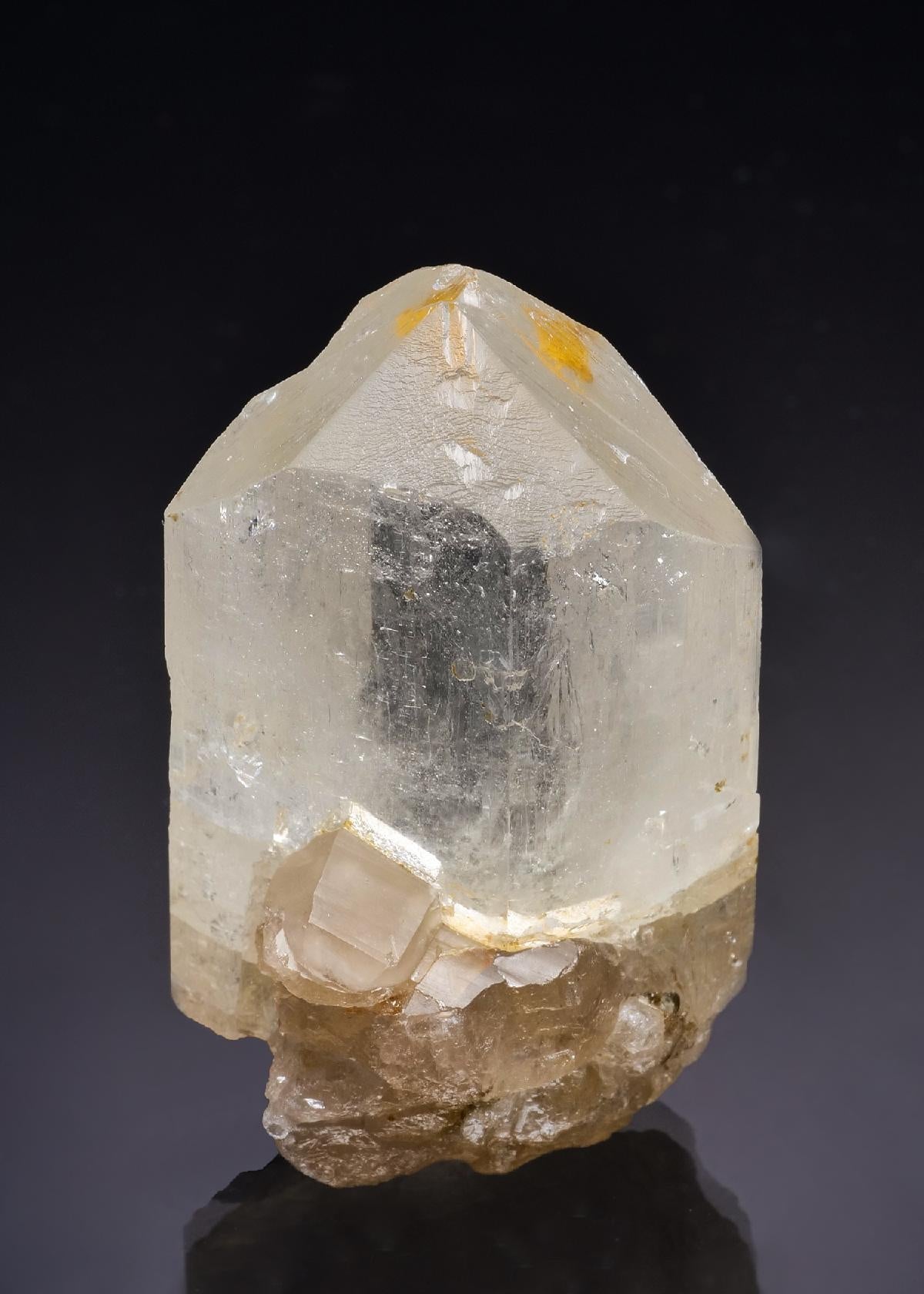 CC63486 specimen image