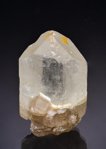 CC63486 specimen image