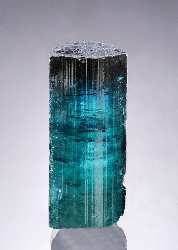 CC63507 specimen image