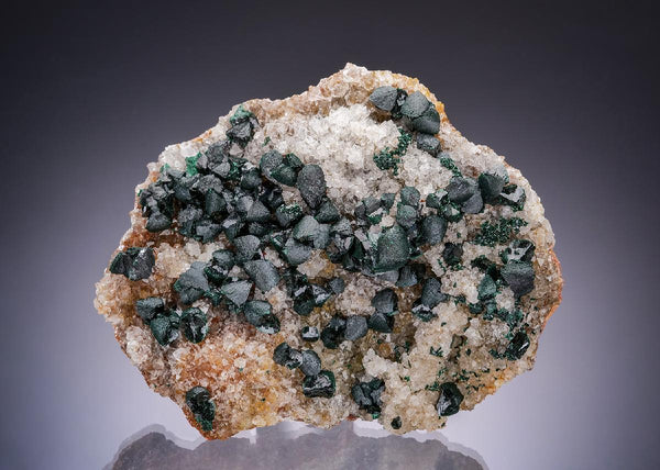 CC63522 specimen image