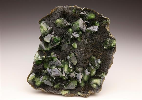 CC6354 specimen image