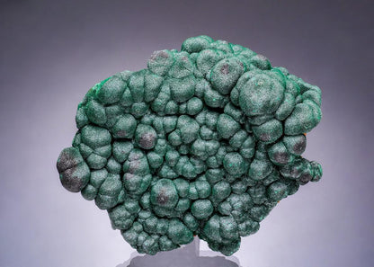 CC63546 specimen image