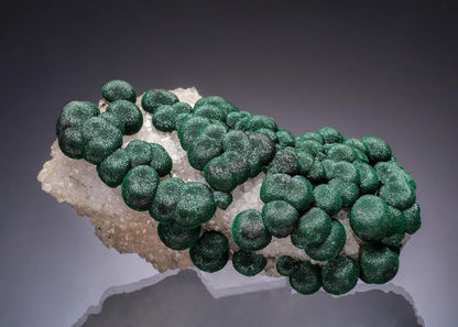 CC63552 specimen image