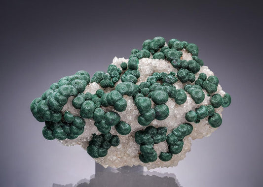 CC63555 specimen image