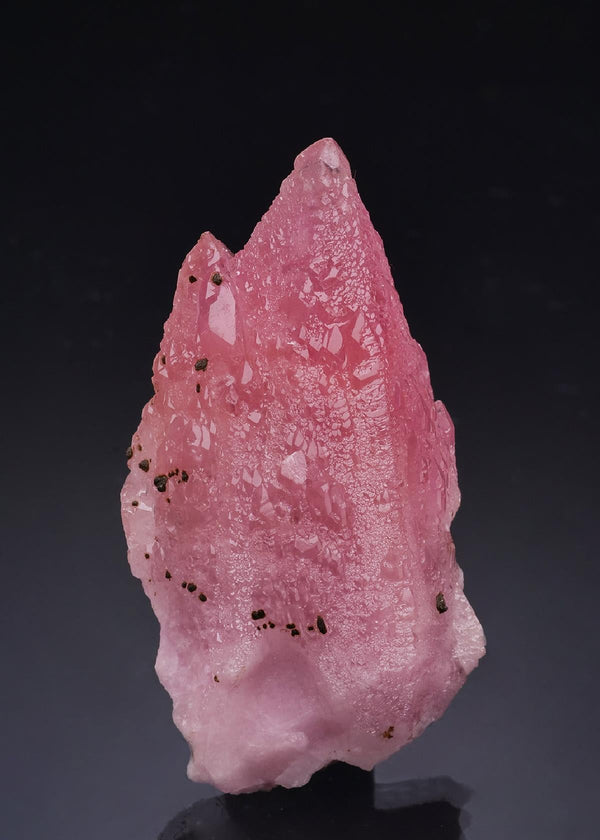 CC63594 specimen image