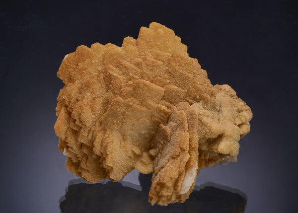CC63606 specimen image