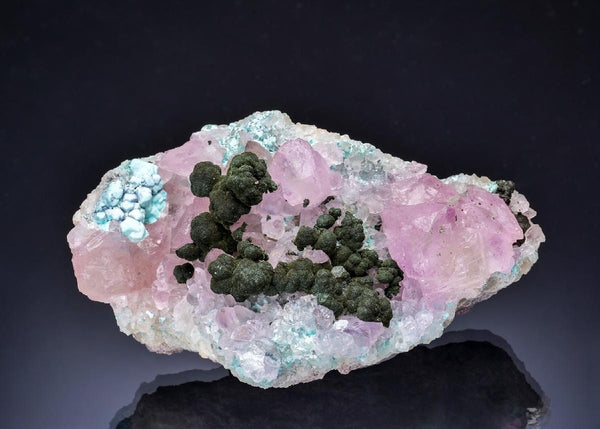 CC63609 specimen image