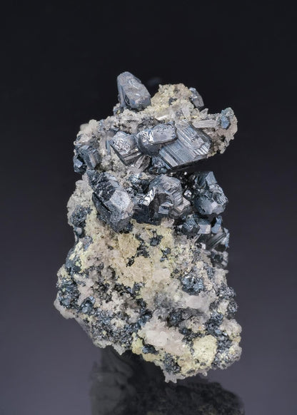 CC63624 specimen image