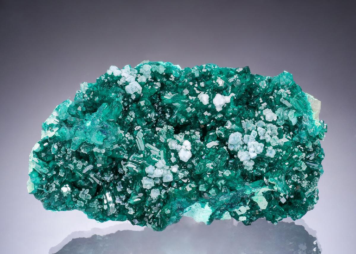 CC63639 specimen image