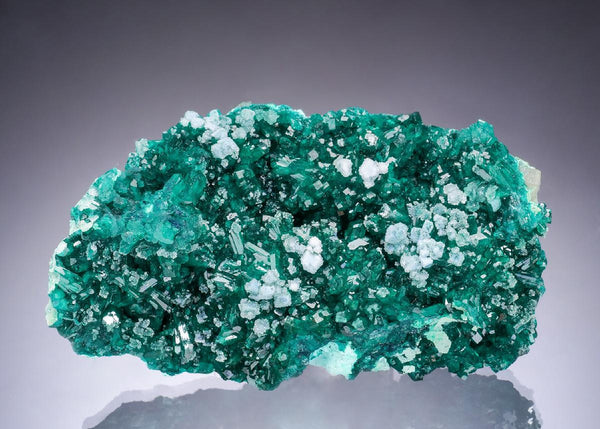 CC63639 specimen image