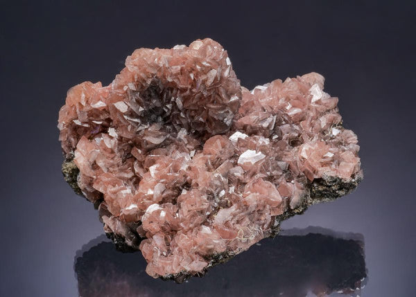 CC63645 specimen image