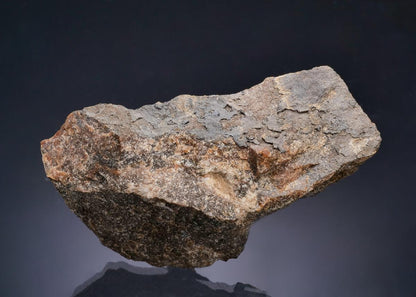 CC63651 specimen image