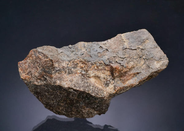 CC63651 specimen image